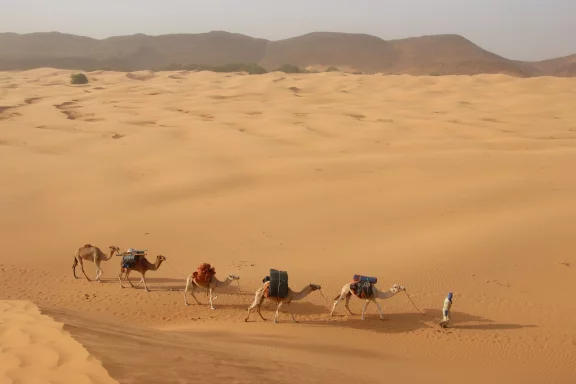La caravane transporte la nourriture et les bagages.