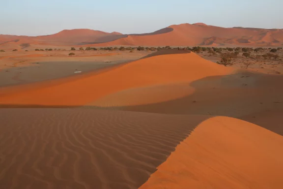 Le Namib est considéré comme le plus vieux désert au monde. Il existe depuis 55 millions d'années.