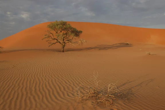 Le Namib est un désert semi-aride.