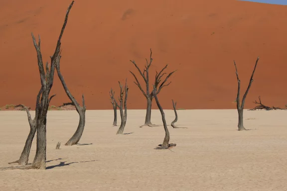 Dead Vlei, le marais mort et ses acacias calcifiés, vieux de plus de 1000 ans