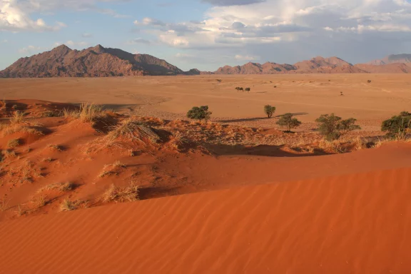Le Namib.