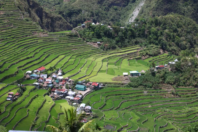 Batad, petit village des indiens coupeurs de têtes, les Ifuagos, qui ont su remodeler la montagne pour cultiver le riz en terrasses..