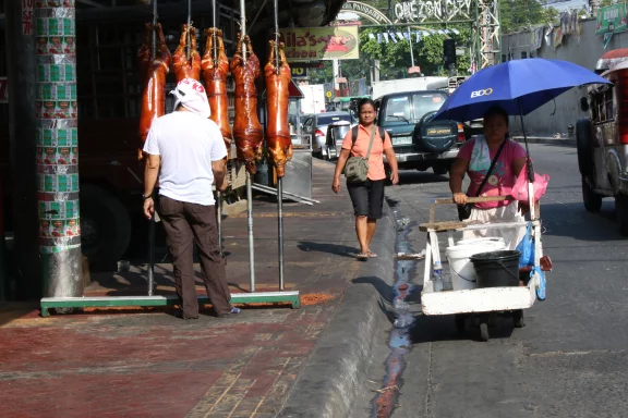 Cochons laqués dans la rue.