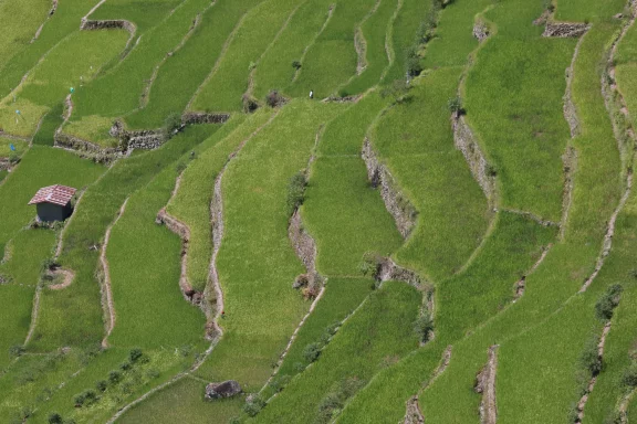 Les terrasses millénaires de Batad.
