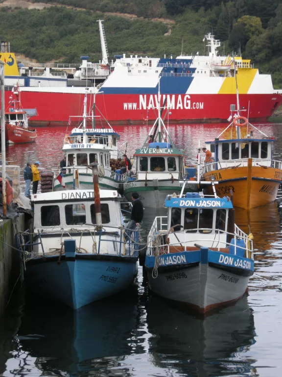 Angelmo, le port de Puerto Montt