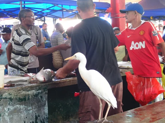 Au marché à Mahé.