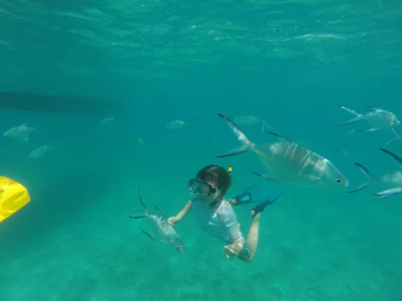 L'occupation principale, faire du snorkeling pour voir les poissons multicolores.
