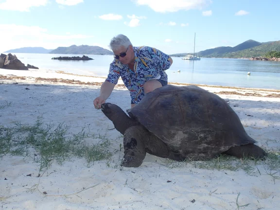 Dire bonjour aux tortues sur Curieuse.