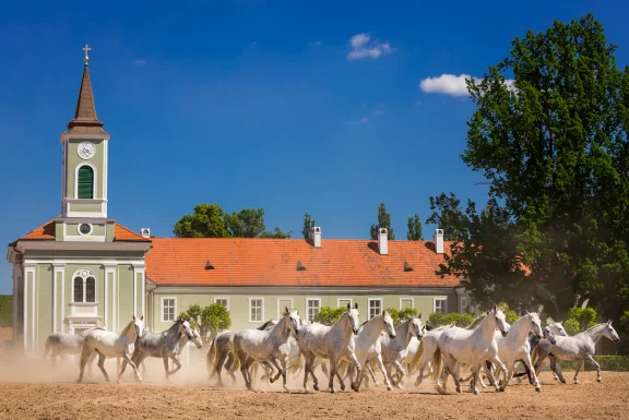 Kladruby, le haras national. Copyright Lukas Zeman Czech Tourism
