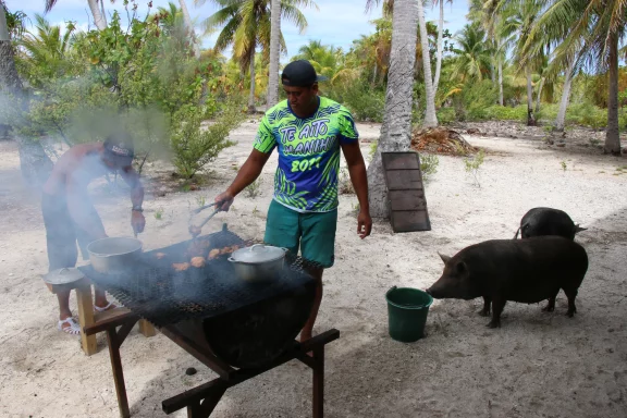 Barbecue sur un atoll parmi les cochons semi-sauvages !