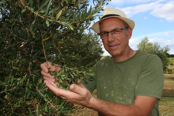 Denis Voeux, santoniers et oléiculteur.