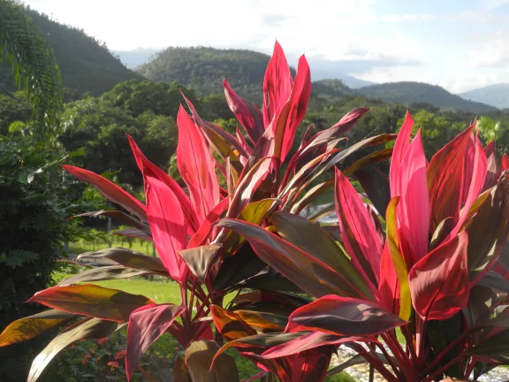 La belle région de Bonao au centre du pays