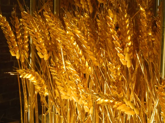 Sur l'autel d'ambre de Sainte-Brigitte