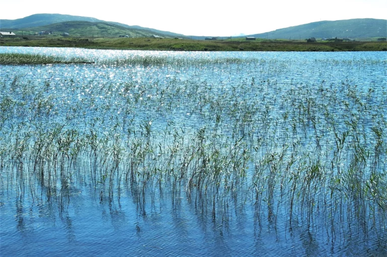Ile de Uist