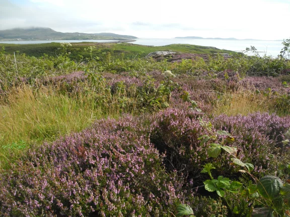 Easaval sur l'île de South Uist