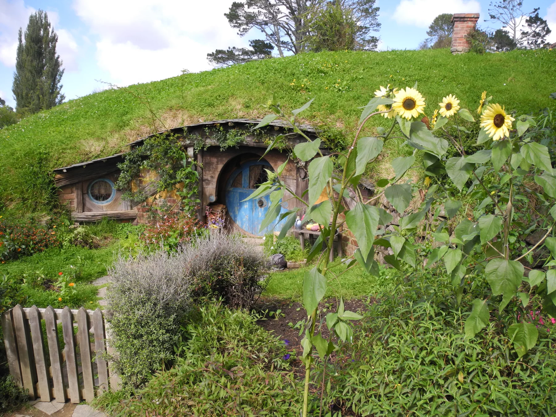 A moins d'une haure de Rotorua, une plongée dans l'univers des Hobbits: immanquable!