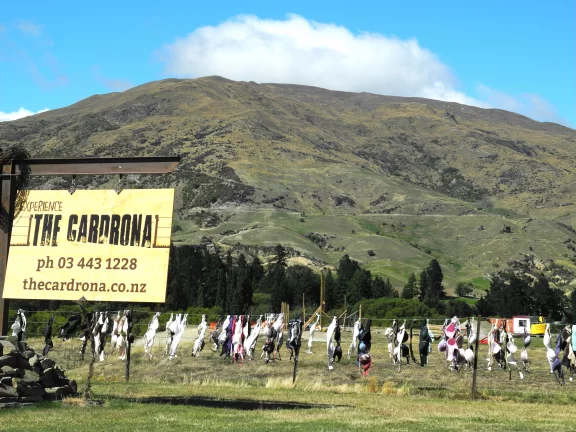 Insolite à Cardrona, non loin de Queenstown