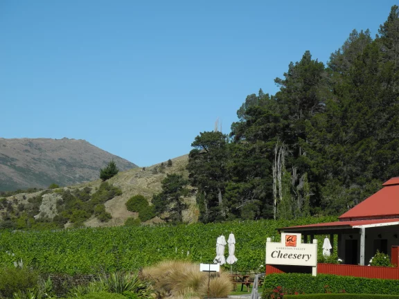 Dans la Gibbston Valley, terre de vignobles