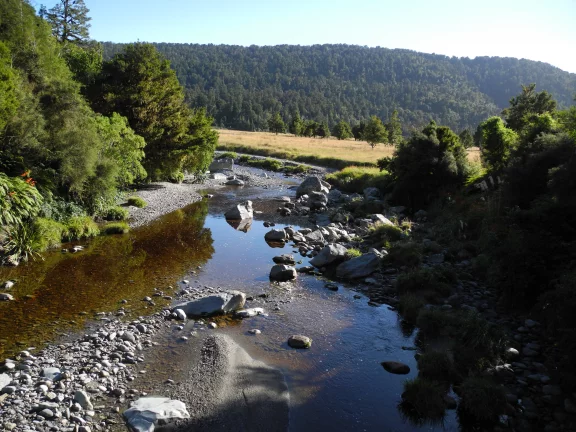 Dans la région des glaciers, le lac Matheson, un petit bijou
