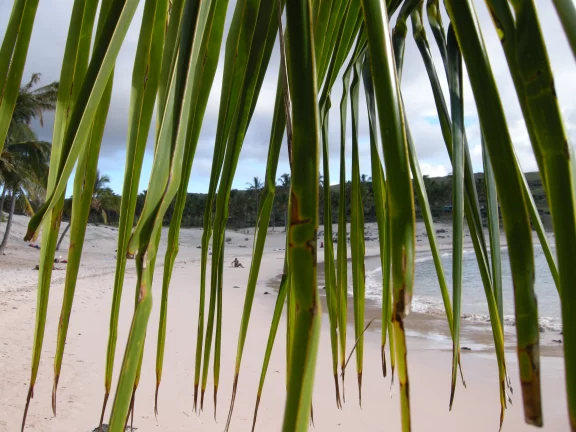 La plage d'Anakena