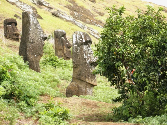 Dans le cratère carrière de Rano Raraku