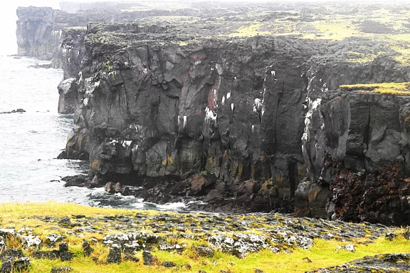 Falaises de Londrangar