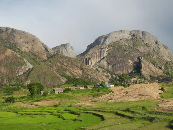 Dans la région d'Ambalavao, nature sauvage et domestiquée cohabitent en toute beauté. 