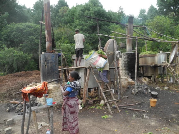 Au bord de la route, distillerie d'huile essentielle de géranium