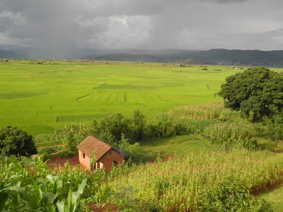 Dans le pays Betsileo