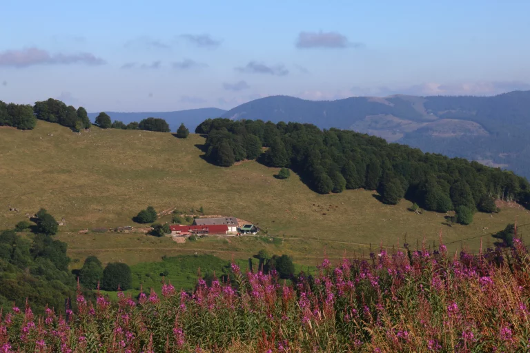 La ferme-auberge du Gsang.