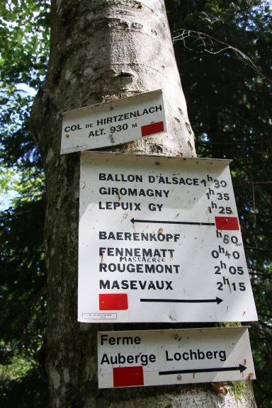 Dans le massif des Vosges, le balisage est partout très précis. Impossible de se perdre.
