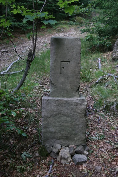 Au long du chemin des bornes en granit délimitent l'ancienne frontière entre l'Allemagne et la France.