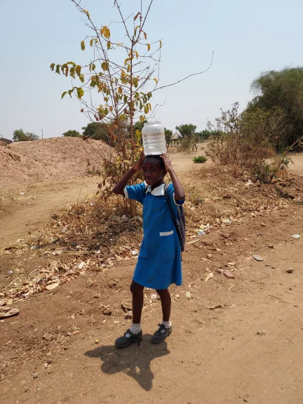Les écoliers arrosent les arbres plantés à côté de l'école.