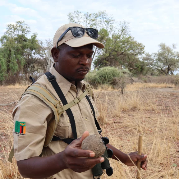 Leçon de nature avec le ranger.