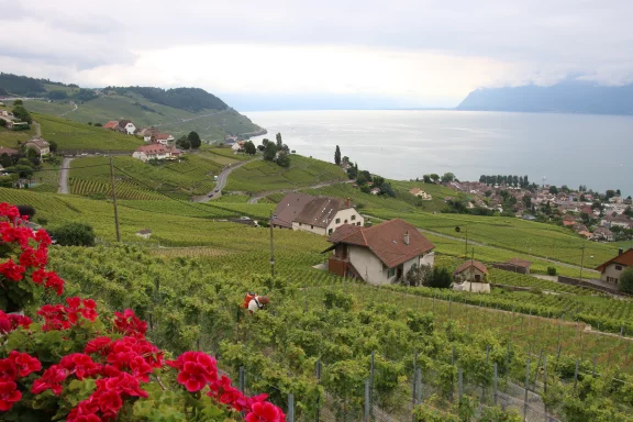 La riviéra du léman et ses vignes.